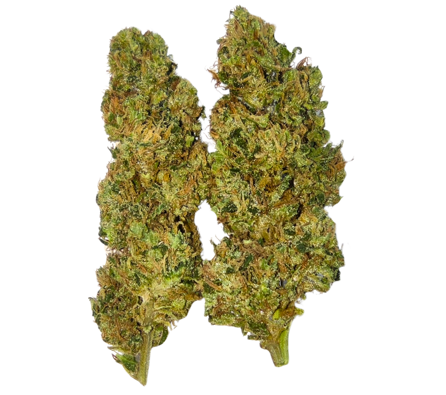COLOMBIAN ORANGE RESERVE