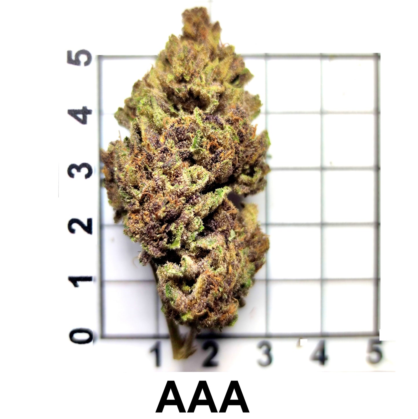 STRAWBERRY DIESEL THC 23.14%