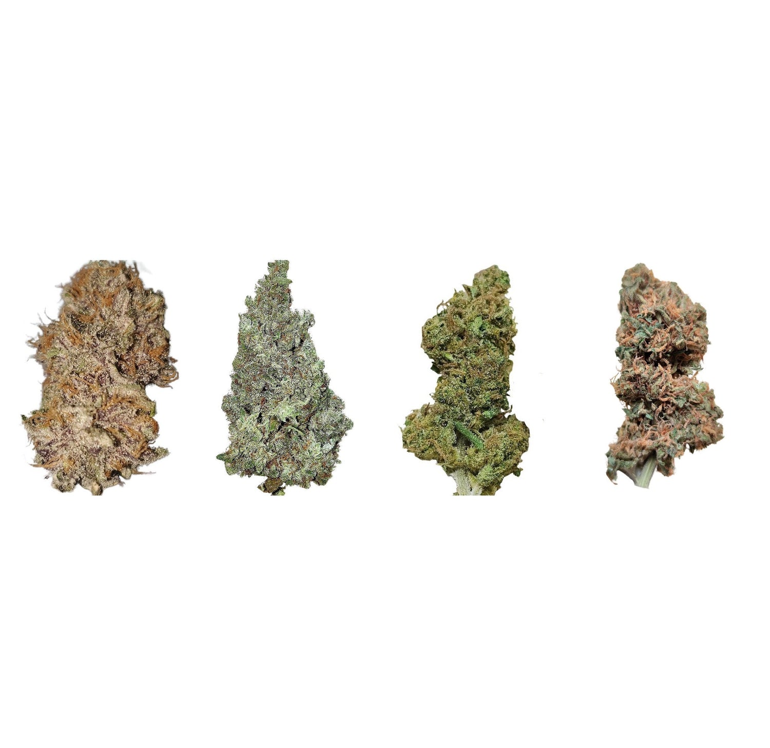 EU-GMP/GACP Flower with CANNANDINA