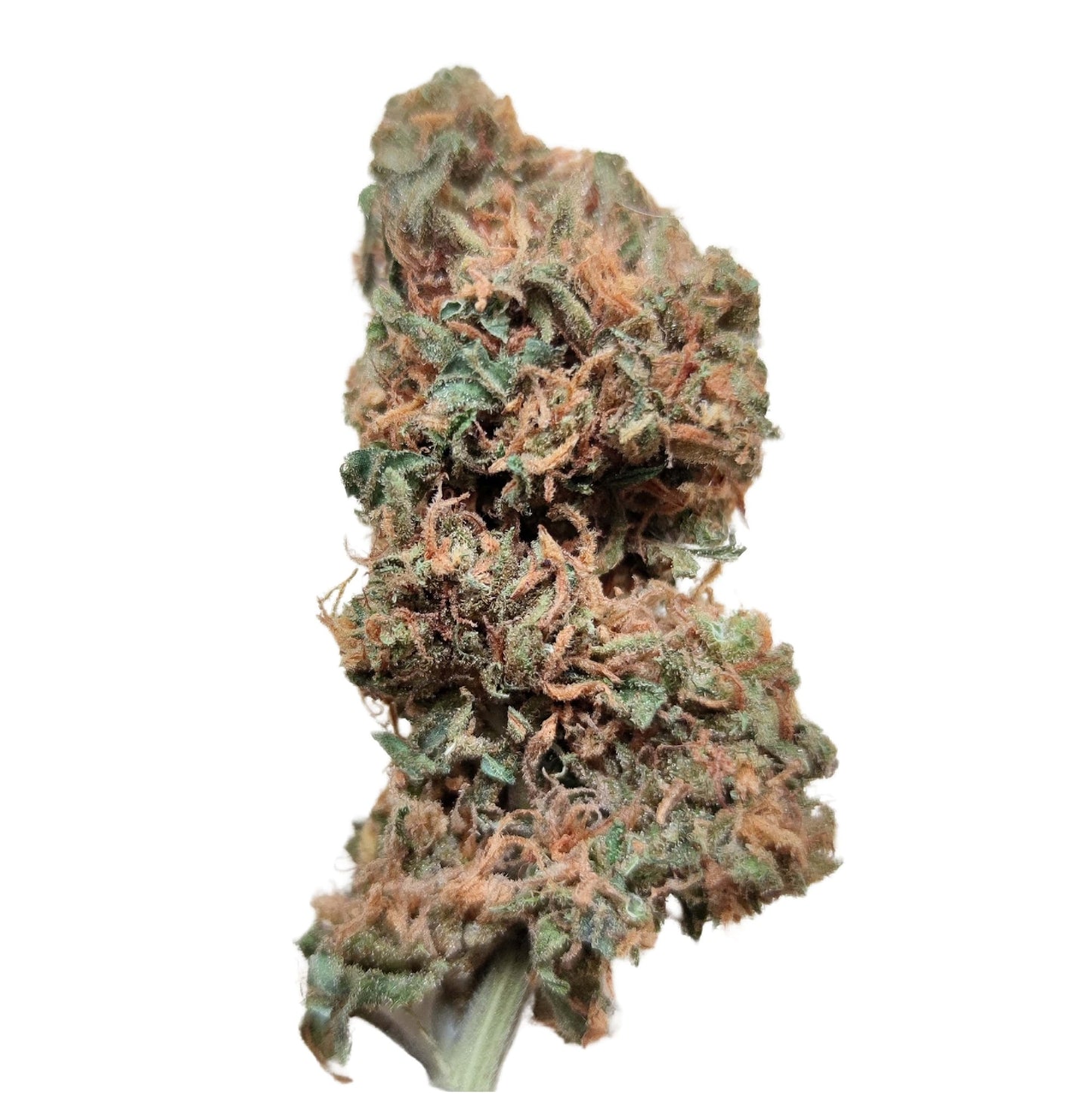 BIG SUR HOLY WEED