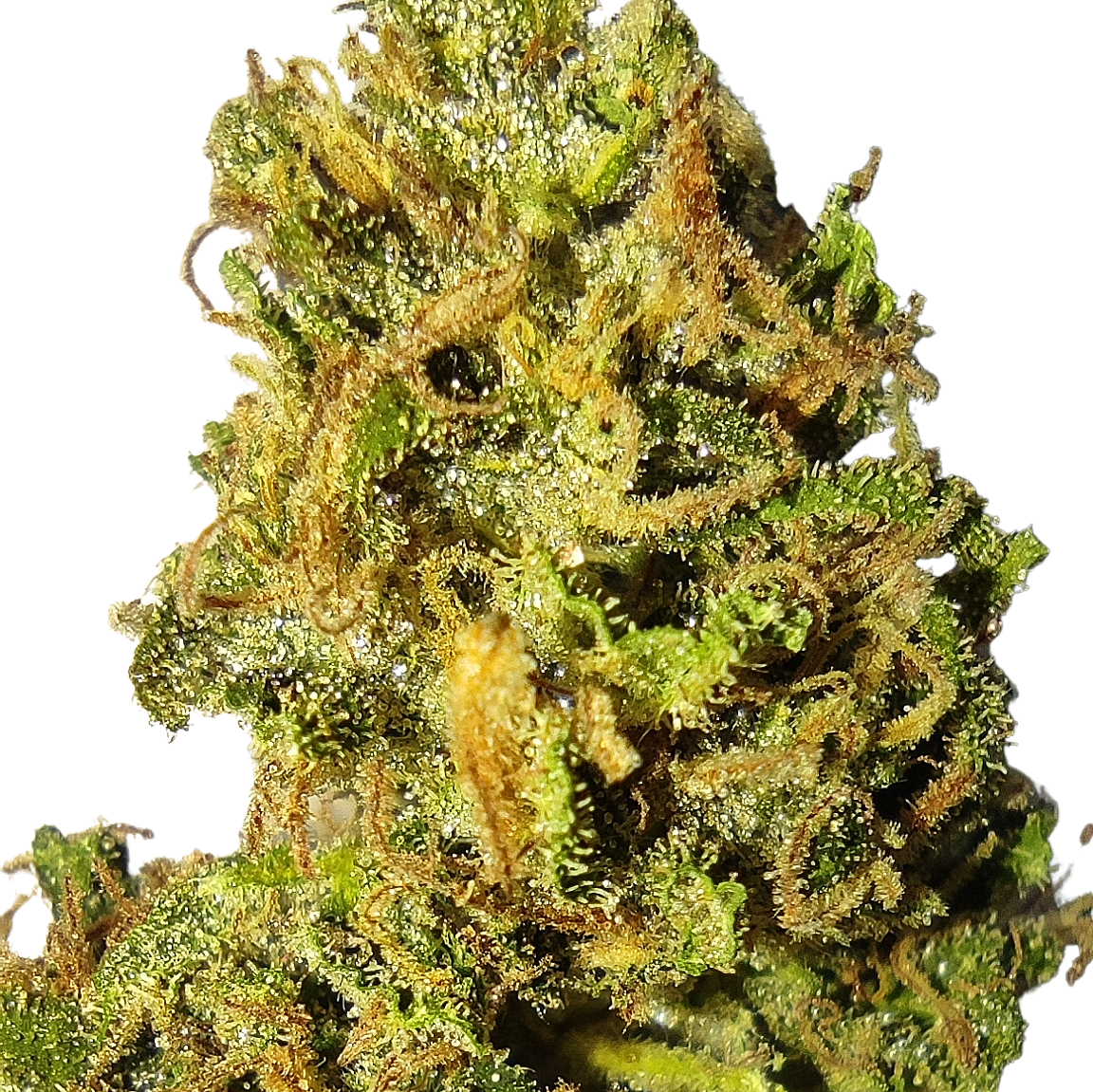 COLOMBIAN ORANGE RESERVE