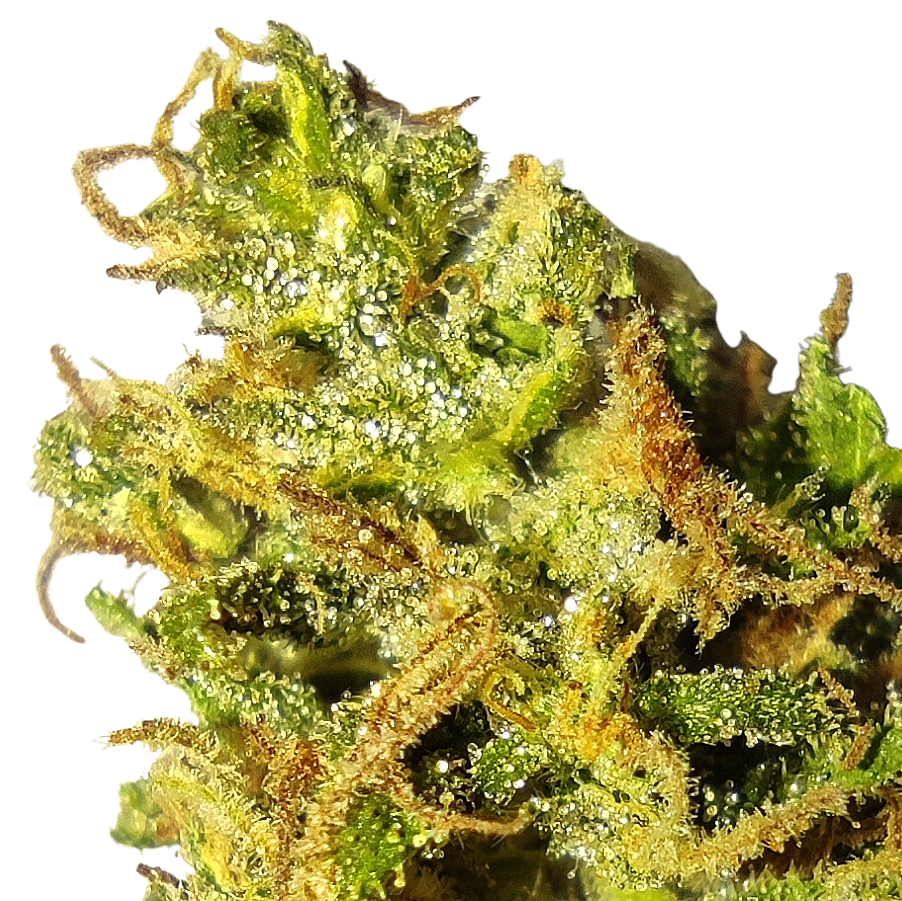 COLOMBIAN ORANGE RESERVE