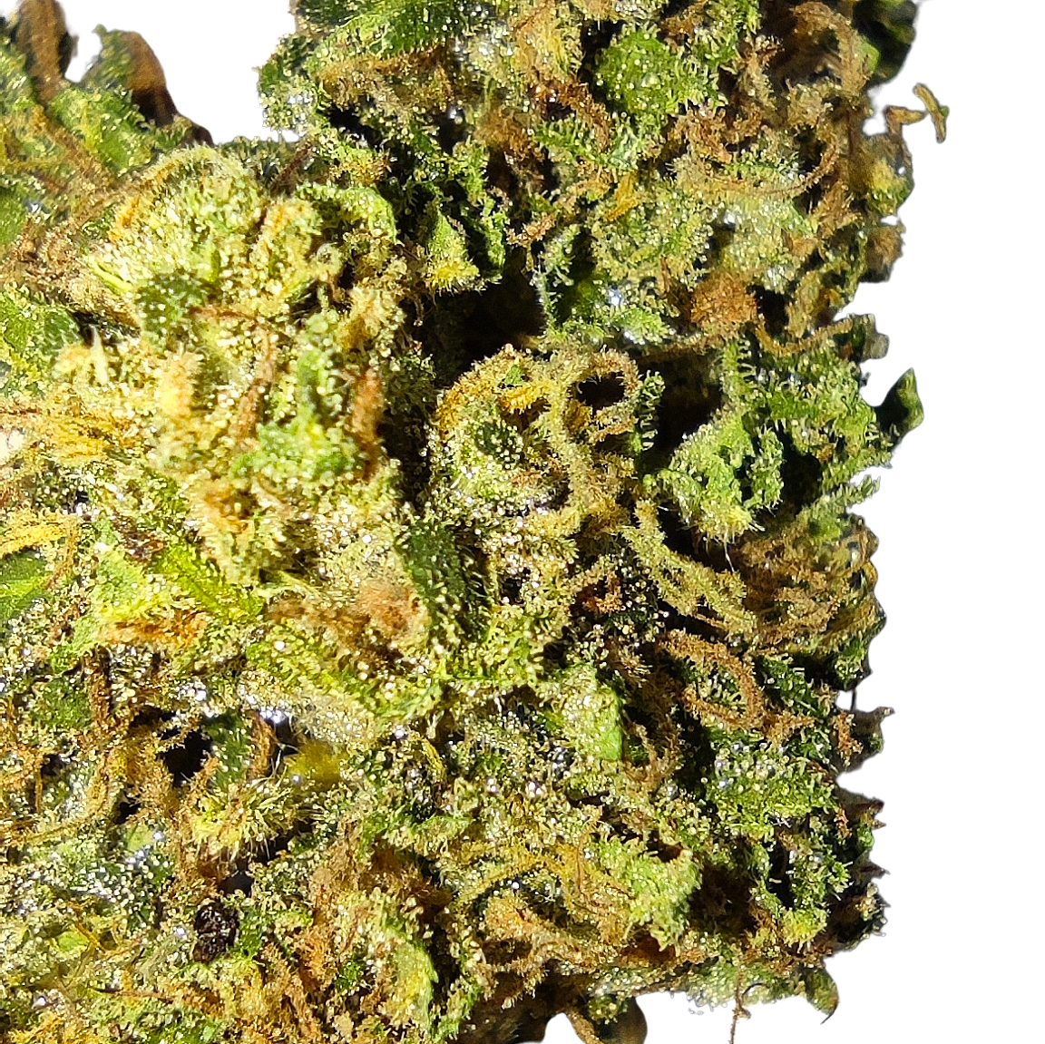 COLOMBIAN ORANGE RESERVE