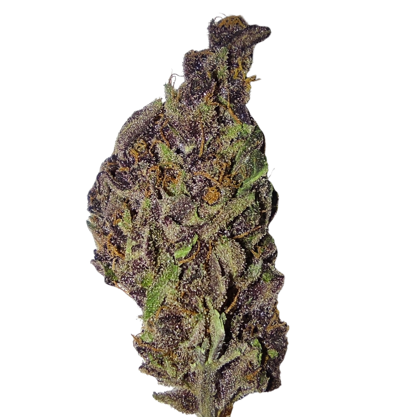 PURPLE GOLD COLOMBIANA