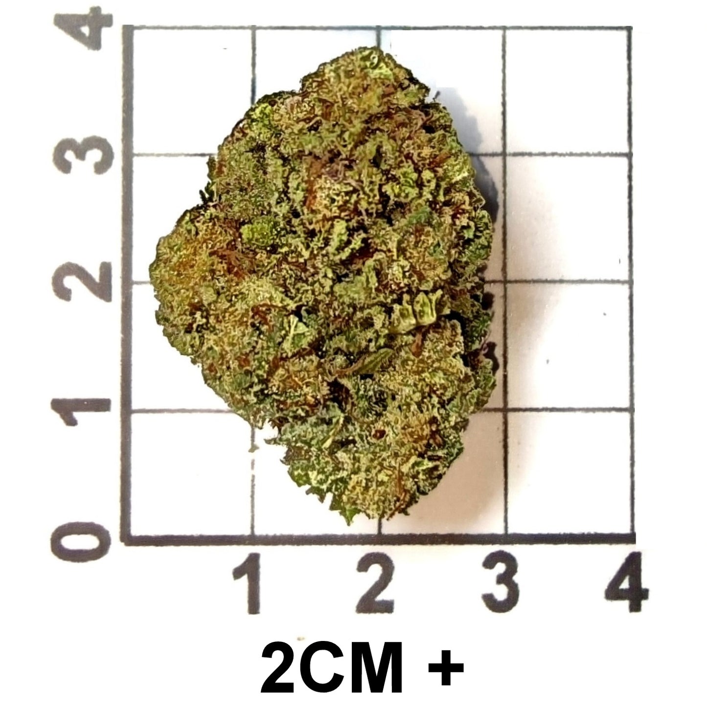 PINK GORILLA THC 22.98%