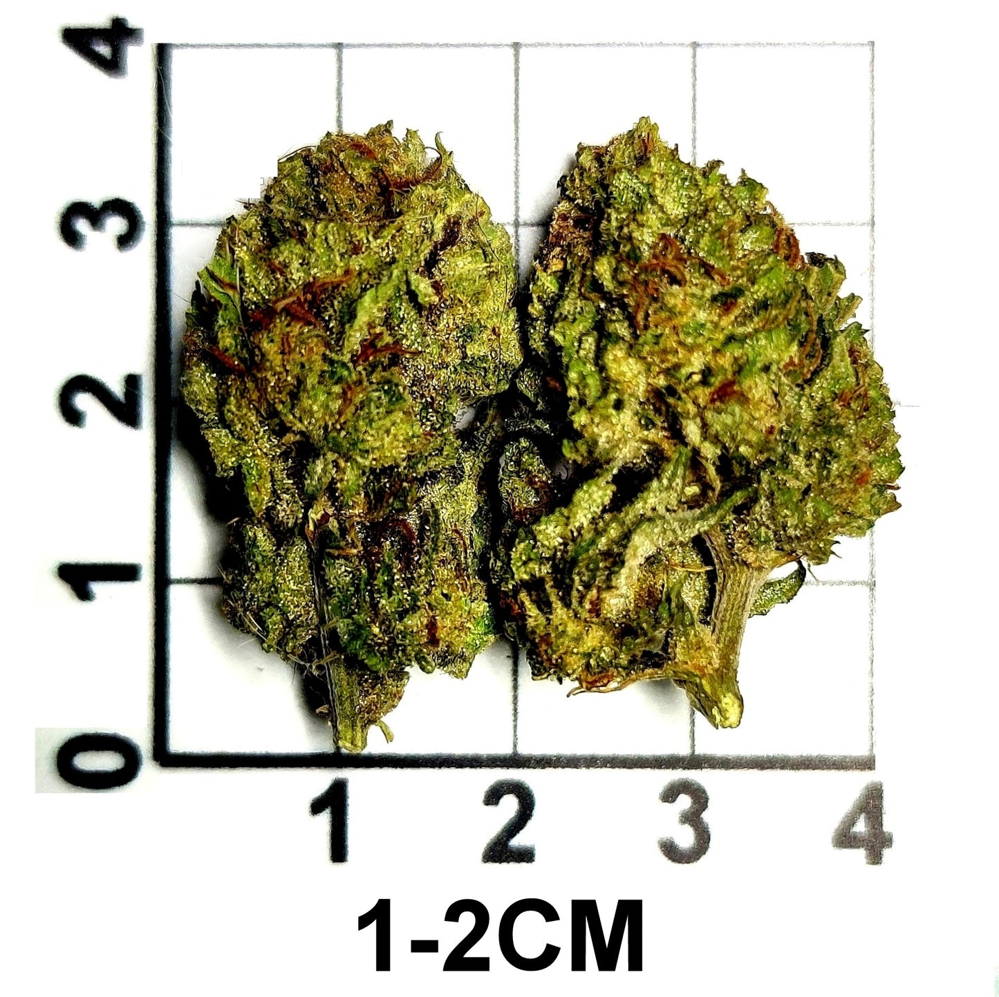 PINK GORILLA THC 22.98%