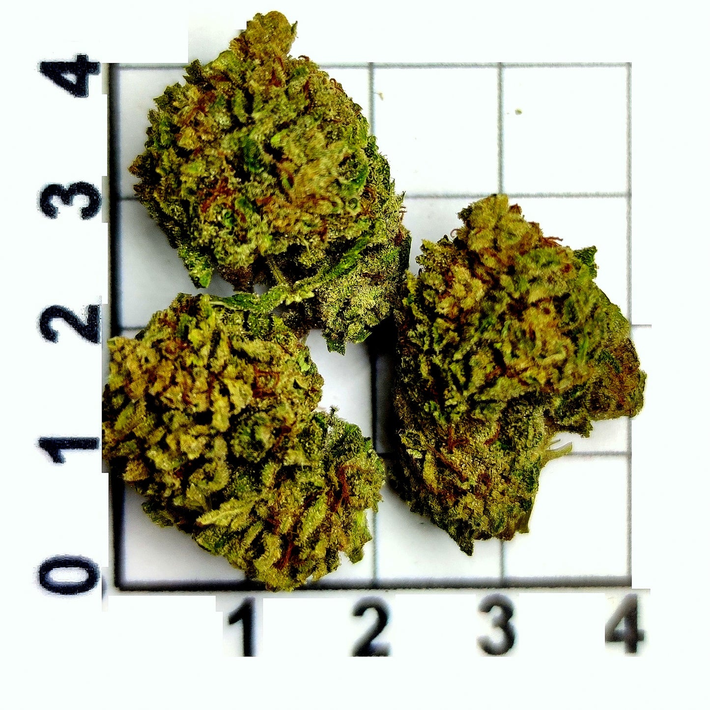 BANANA OG FLOWER