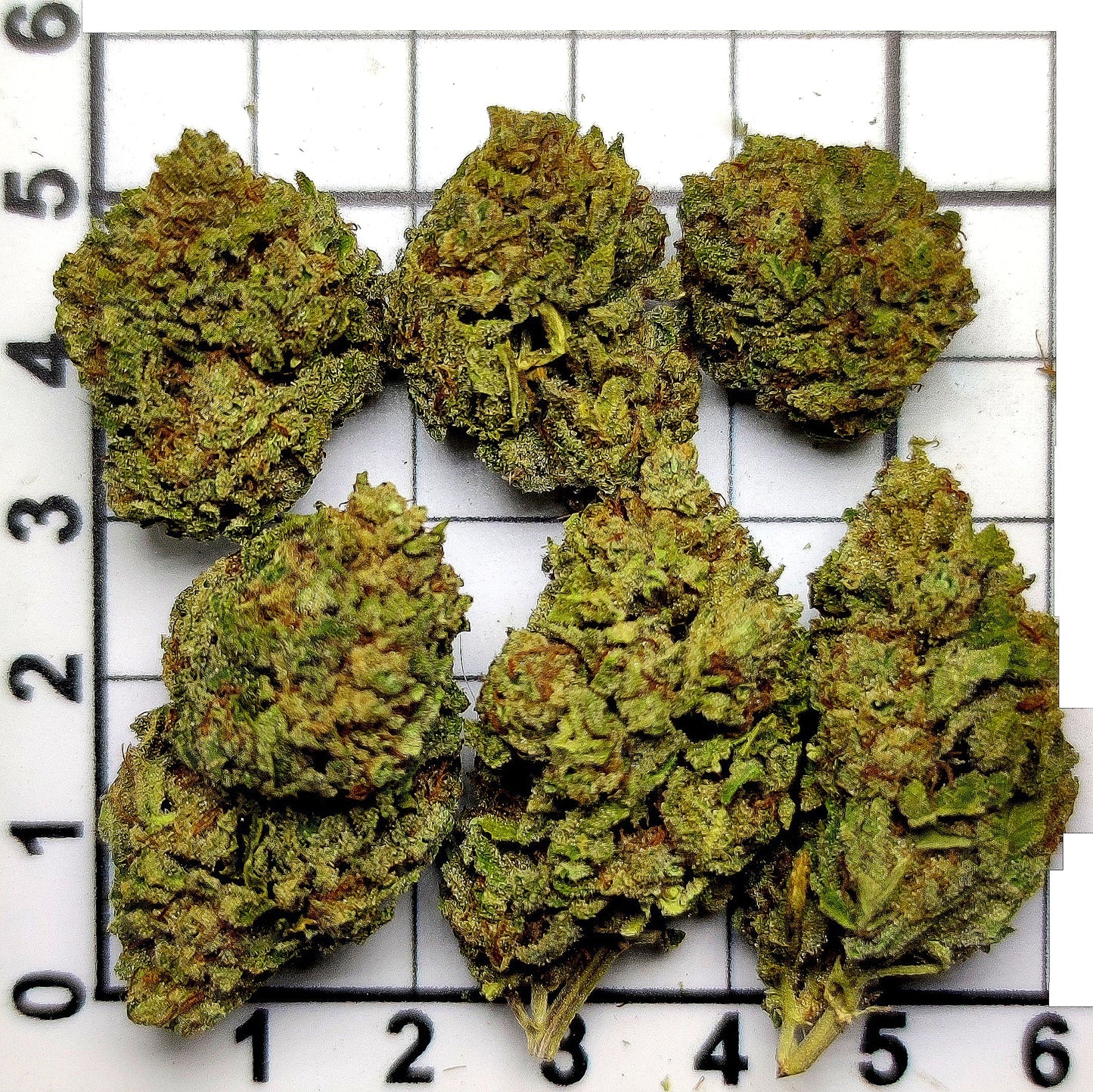 BANANA OG FLOWER