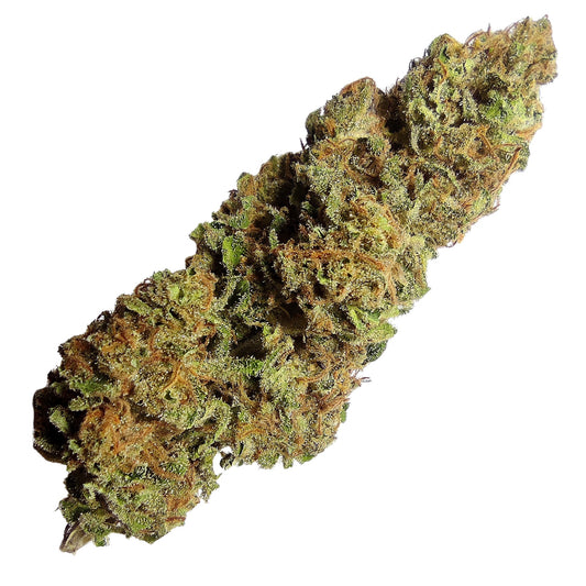 MENDO TANGIE FLOWER