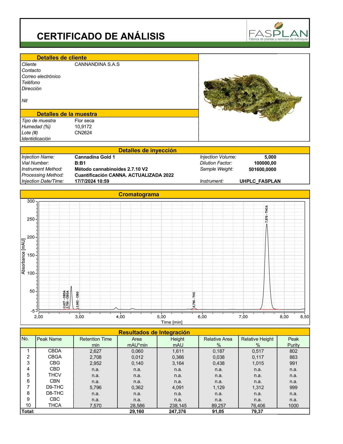 PINK GORILLA THC 22.98%