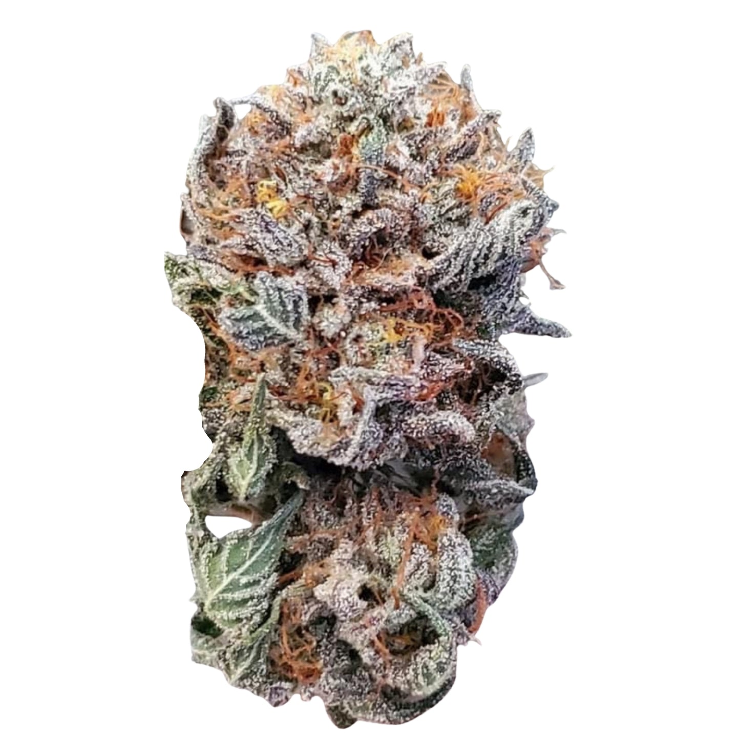 MEMORIES OF AFGHANISTAN